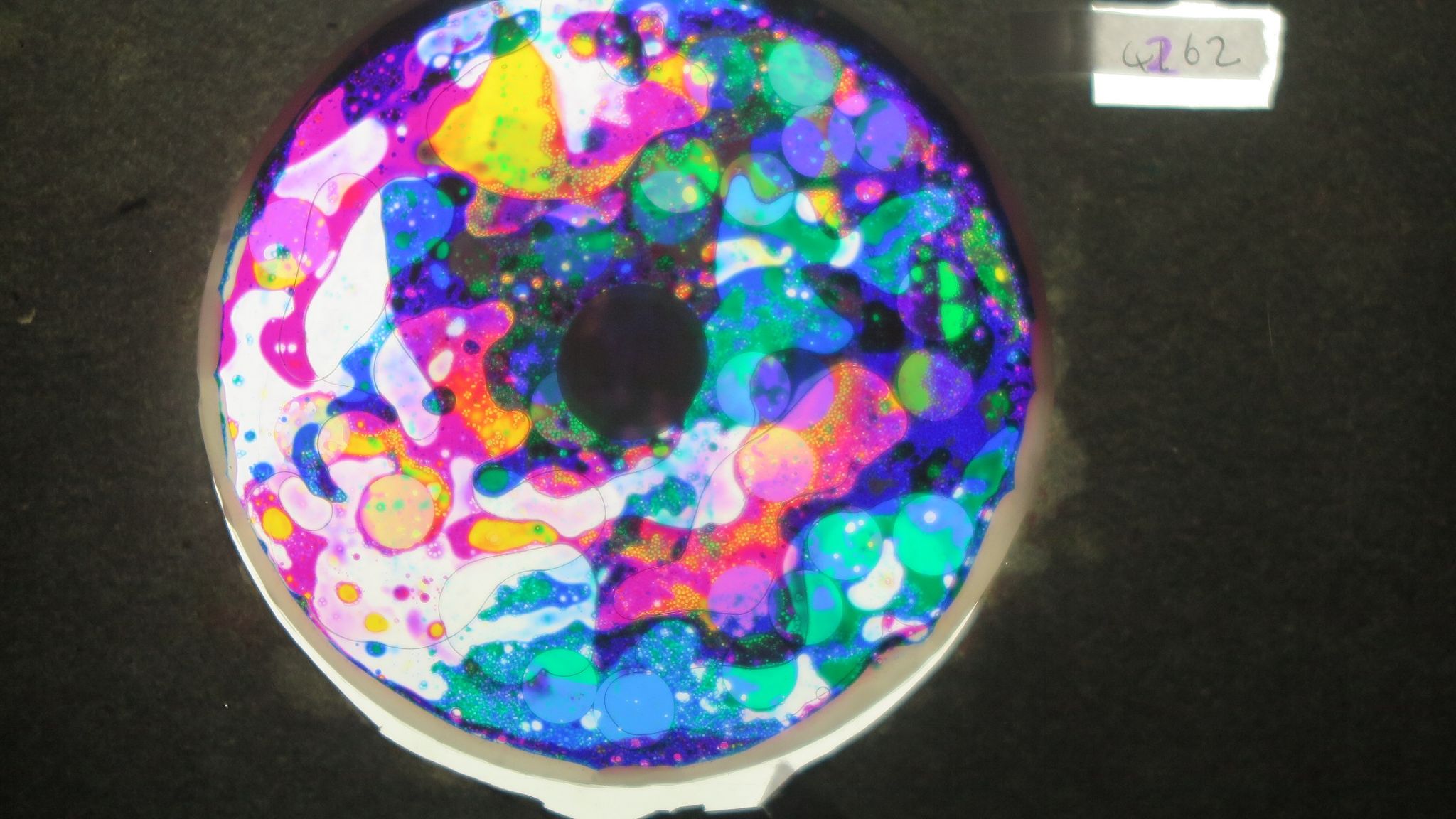 BV4262 bubble vision oil wheel